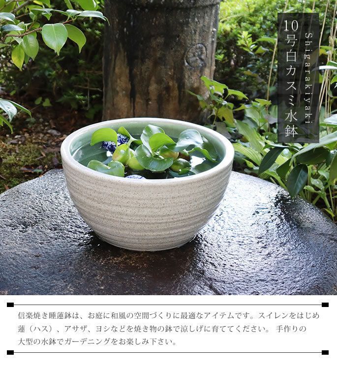 値下げ⭐︎陶器の浮き玉＊夏にぴったり♪ 睡蓮鉢やメダカ鉢に（まとめ買い歓迎）赤 Amazon.co.jp: 信楽焼 睡蓮鉢【11号 はけ目水鉢 su-0276】すいれん鉢