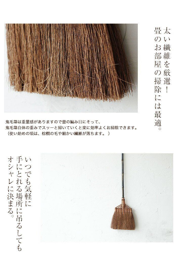 鬼毛棕櫚 ほうき