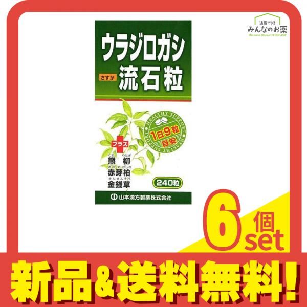 山本漢方製薬 ウラジロガシ流石粒 240粒 6個セット まとめ売り