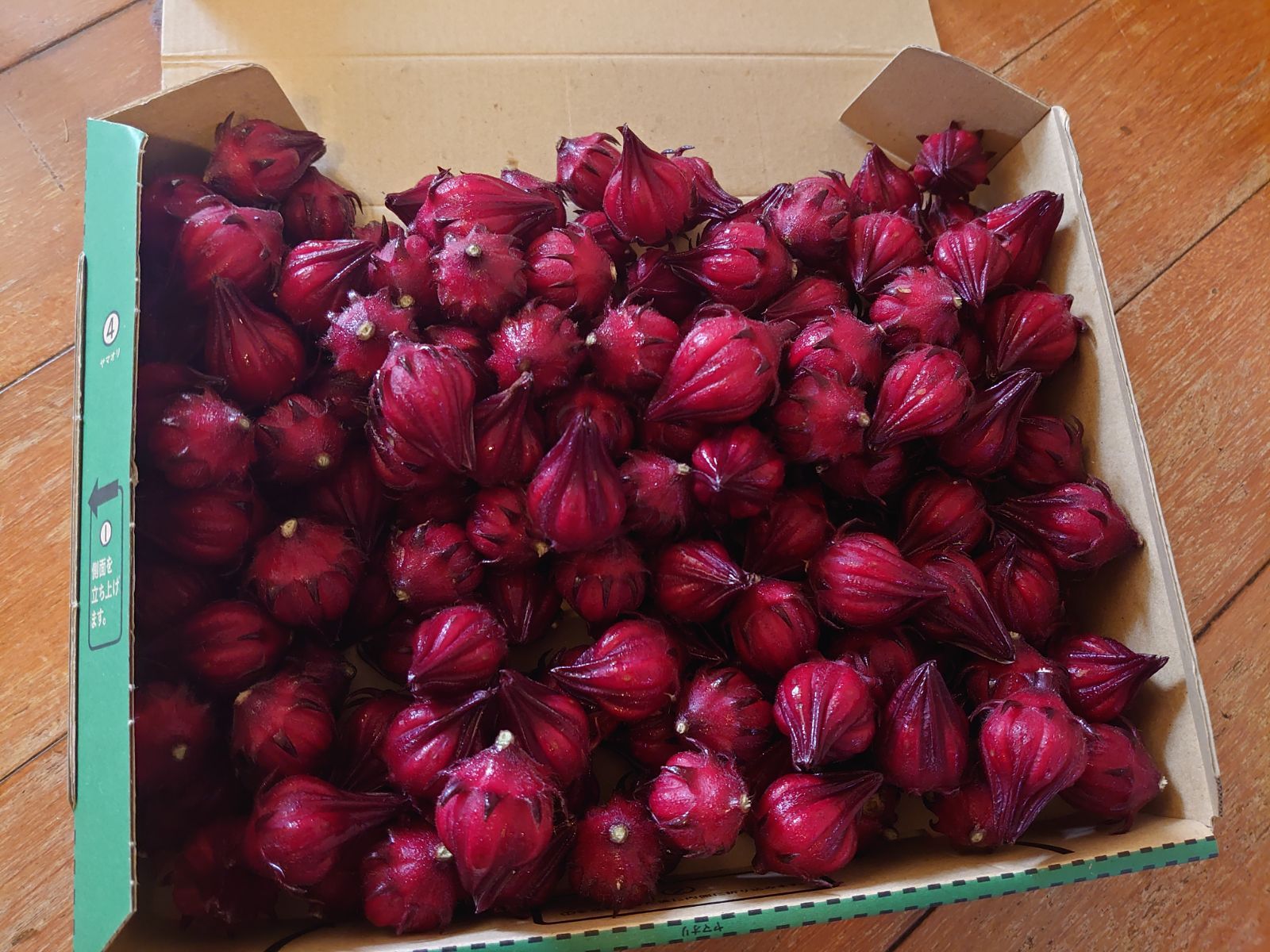 沖縄県産】フレッシュローゼル 800g - メルカリ