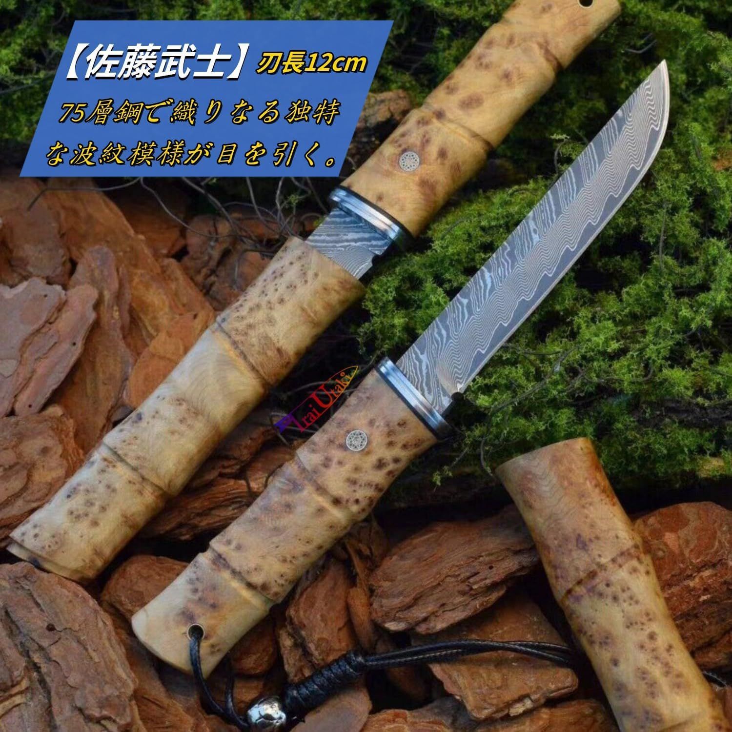 白影瘤木 木鞘付