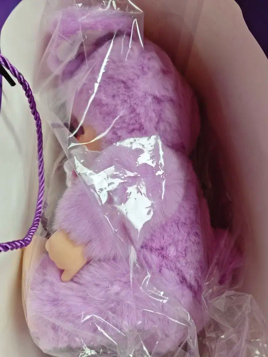 証拠写真あり】呉鎮宇直筆サイン入り6インチ写真 評価カード付き 一瞬