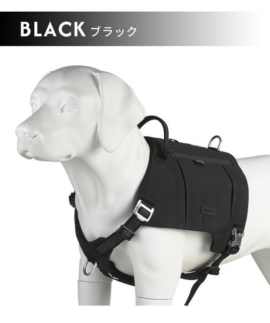 安全 7色