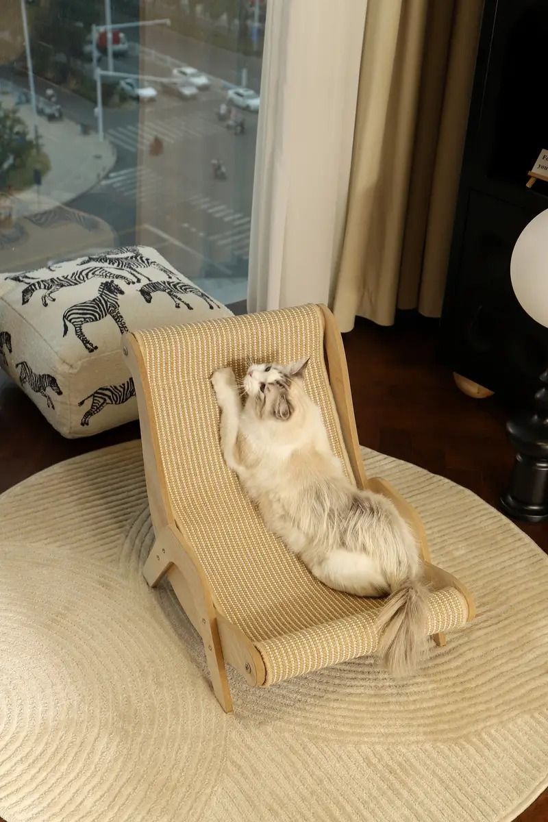 爪研ぎ用