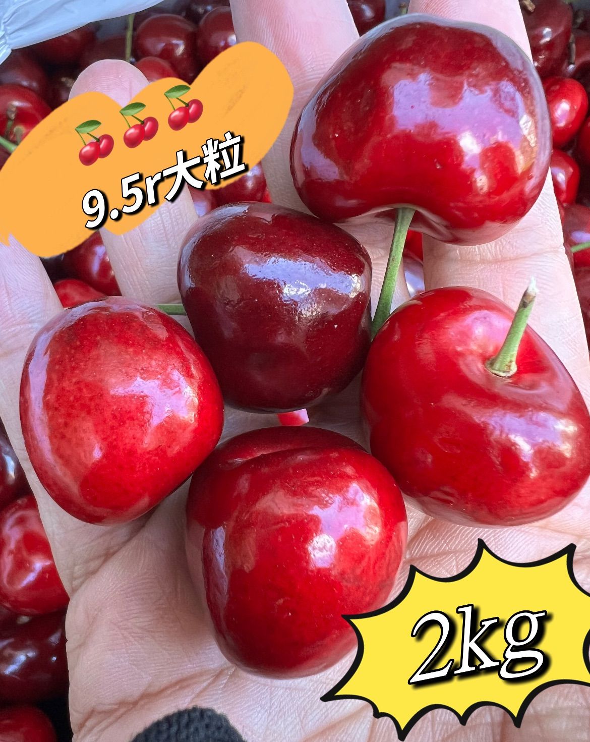 2kg】超大粒9.5rowアメリカンチェリー クール便 - メルカリ
