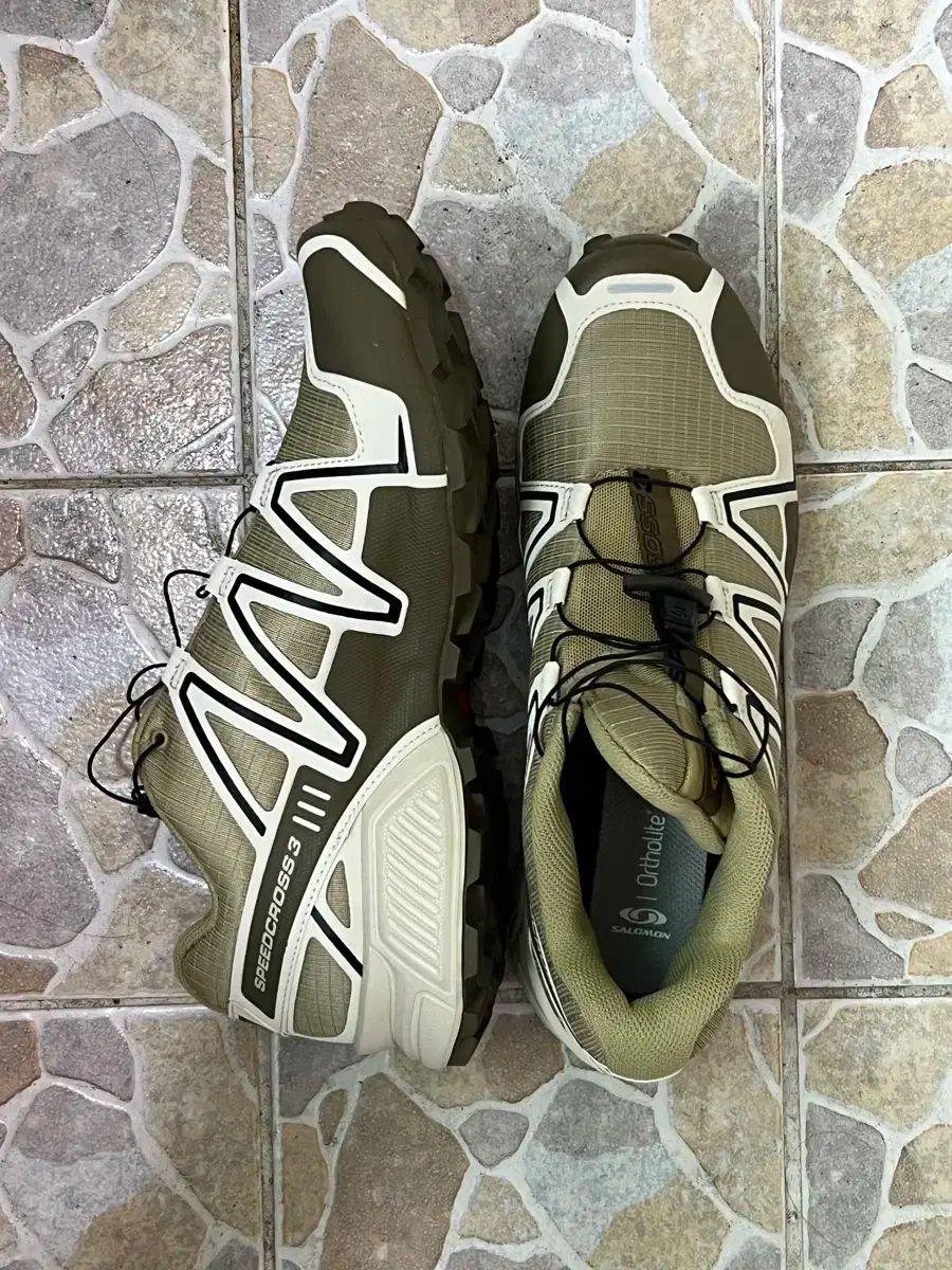 即日発送。 SALOMON サロモン スピードクロス 3 オリーブ 280 興奮