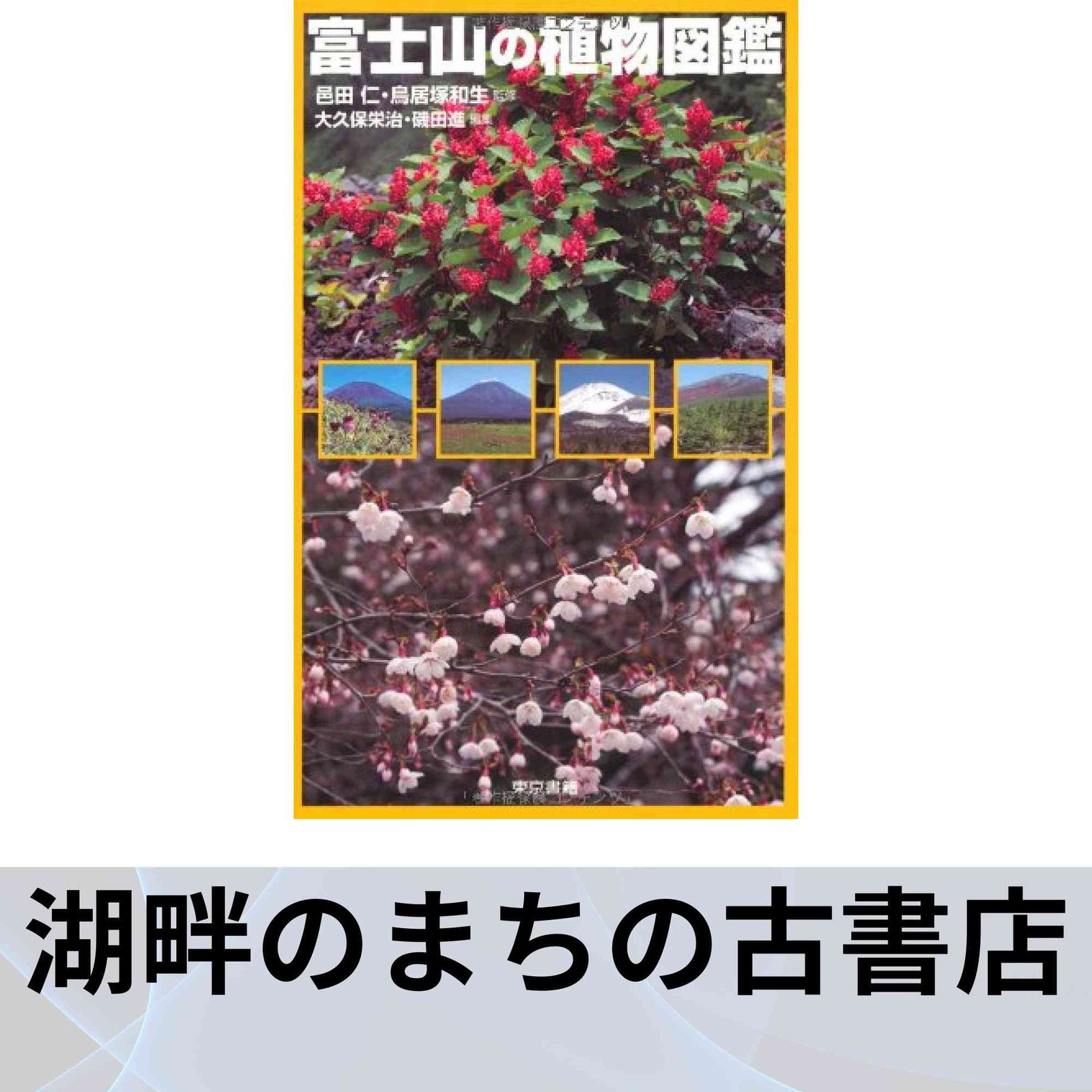 富士山の植物図鑑 ヨドバシ.com - 富士山の植物図鑑 [単行本] 通販【全品無料配達】