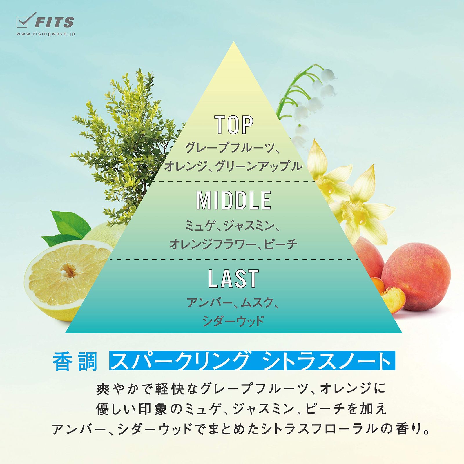 新品 希少デザイン RISINGWAVE WILL エタニティブルー 50mL
