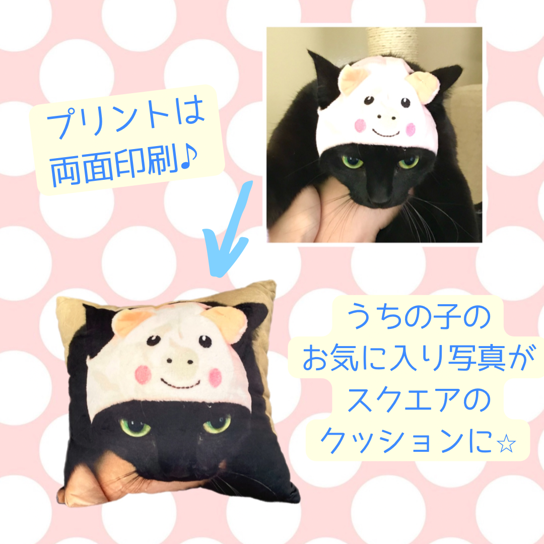 大勧め うちの子 クッション オリジナル 猫用品 | www.mkc.mk