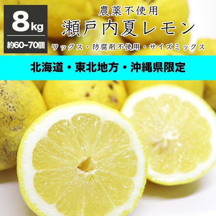 瀬戸内の農薬不使用レモン 3 - 果物