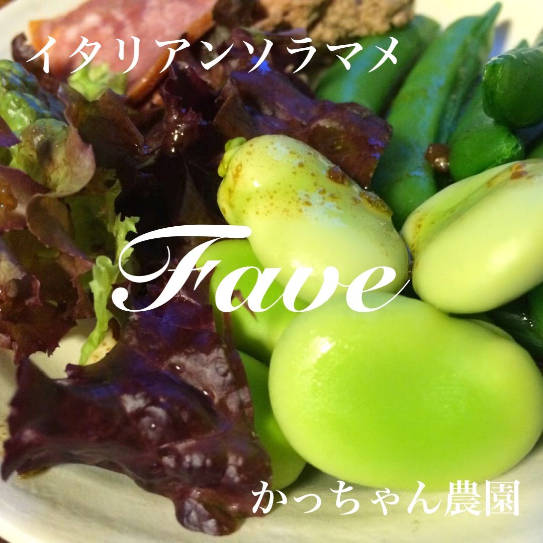 ラウラ様