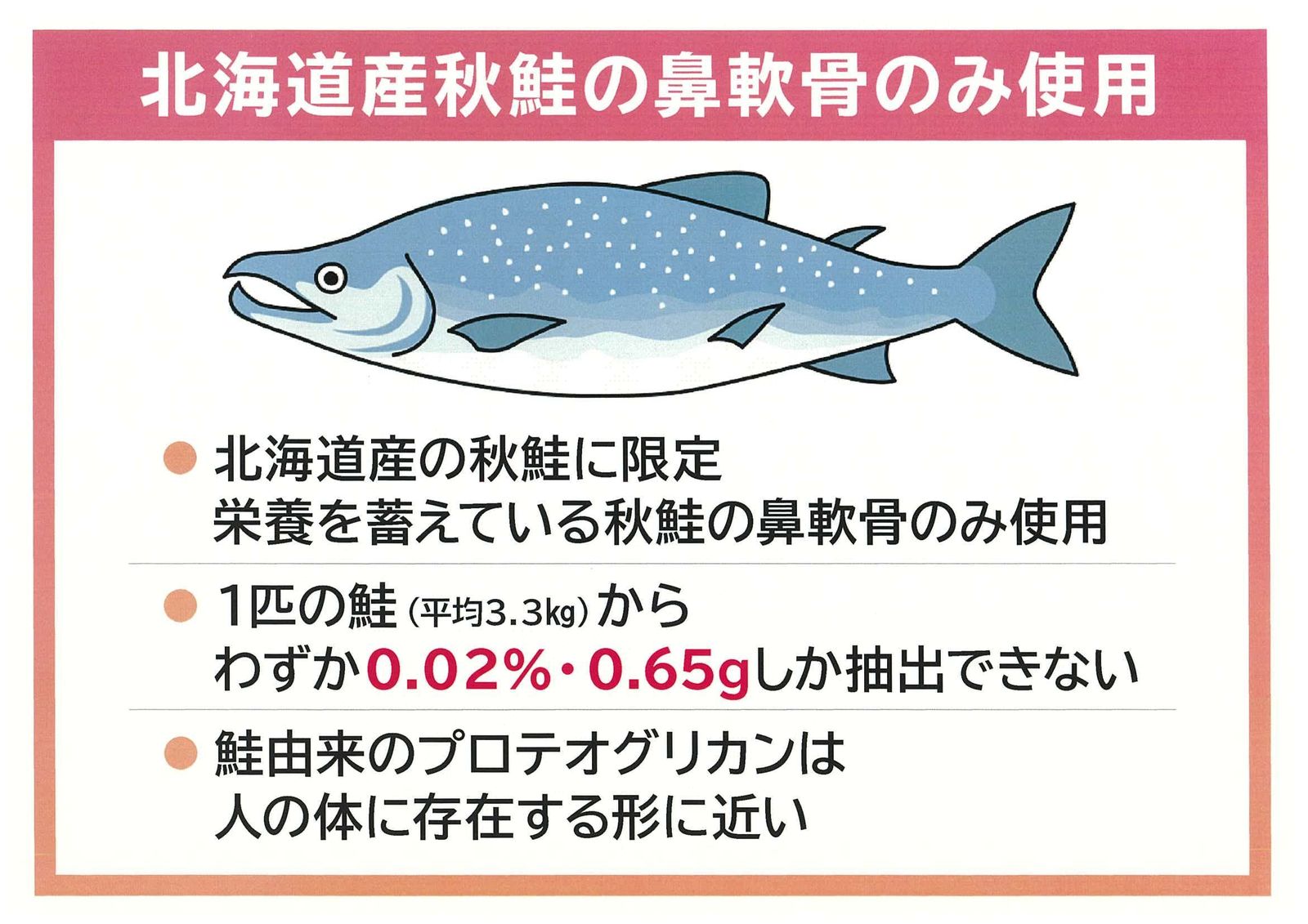 全身美容 乳酸菌