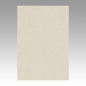 （まとめ） 色画用紙 文運堂 ニューカラーＲ 明るい灰色 8NCR-113 4954022681135 1冊【×10セット】