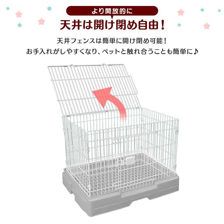 小動物