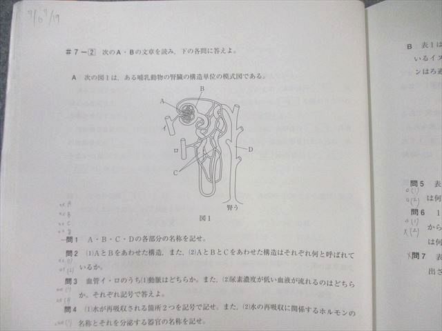 河合塾 トップレベルコース 生物(演習編) テキスト通年セット
