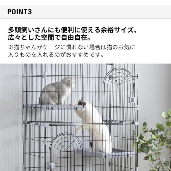4 猫