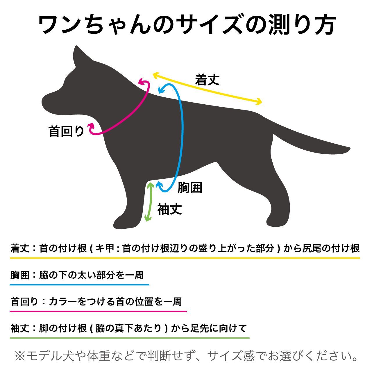 4Lサイズ