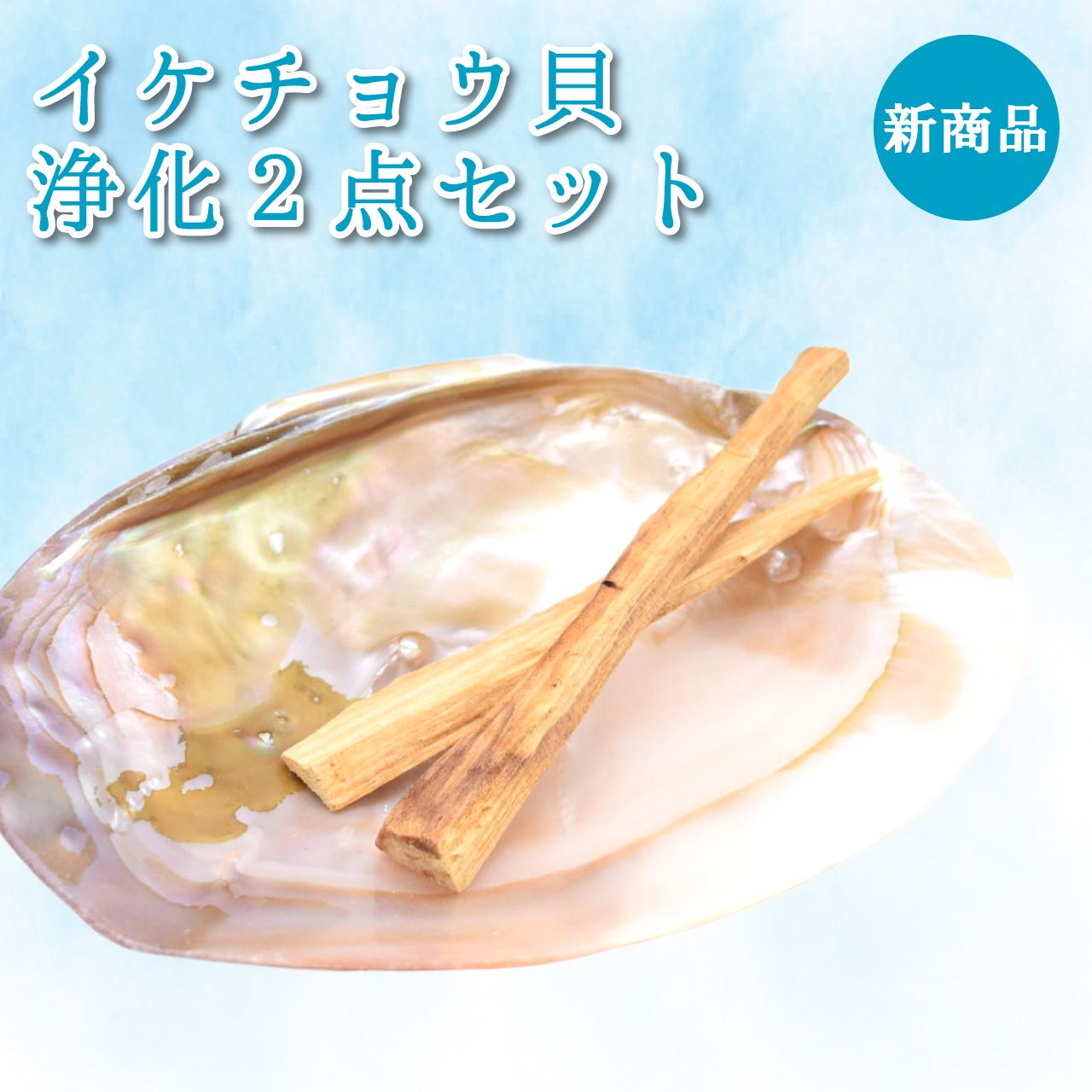 ★特選一点貝★コレは買いだ！【そう、イケチョウ貝だ】 楽天市場】イケチョウ貝の通販
