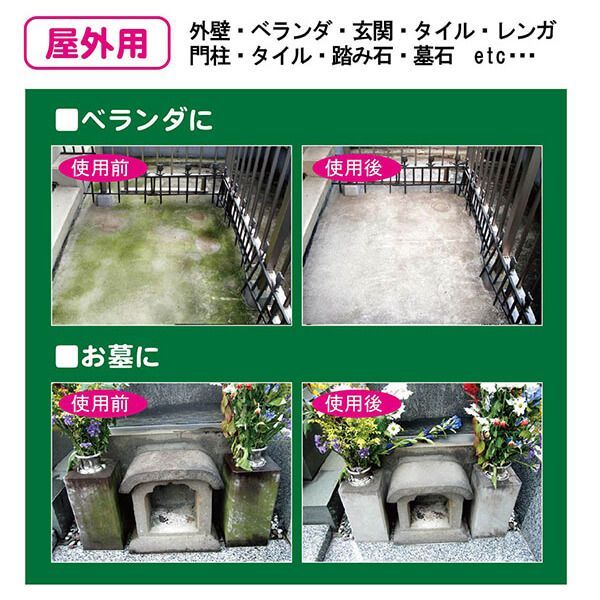 こけ落とし