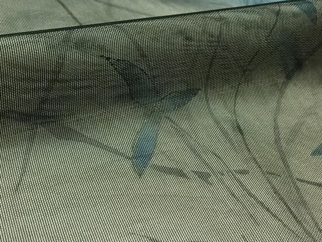 平和屋着物▽訪問着 無双 紗袷 紗×紗 草花文 金彩 正絹 逸品  