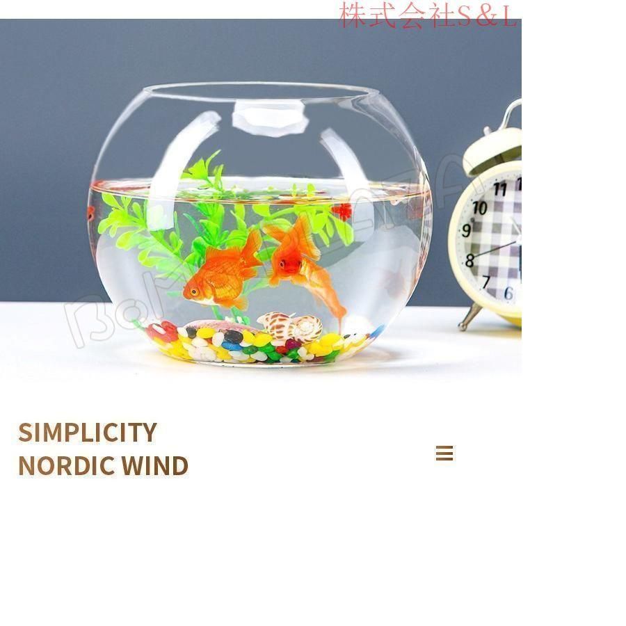 金魚鉢　30cm 614LY1Ng1CL._UF894,1000_QL80_.jpg