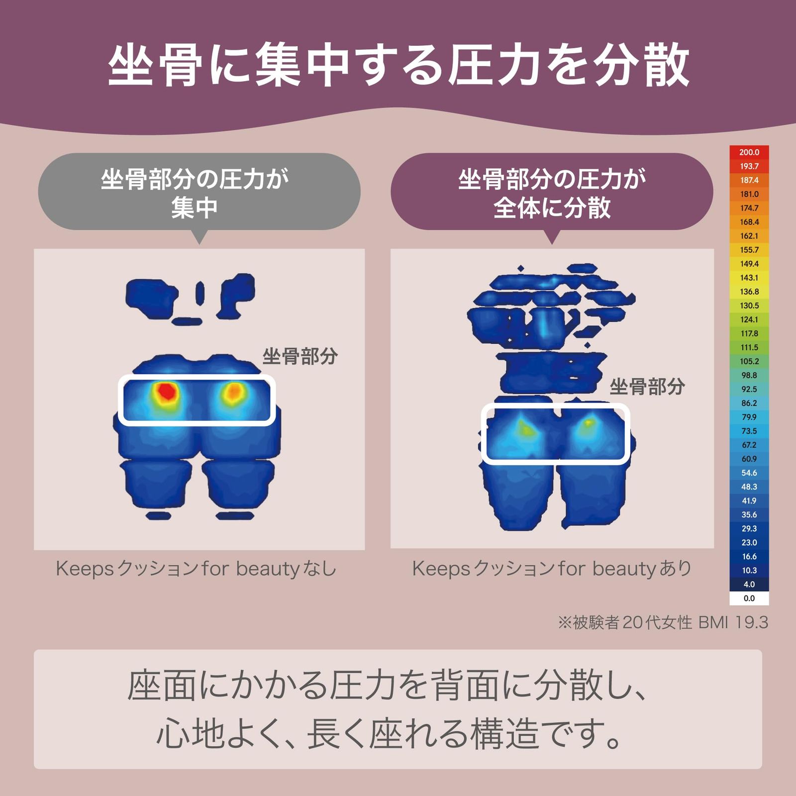 座布団 シートクッション