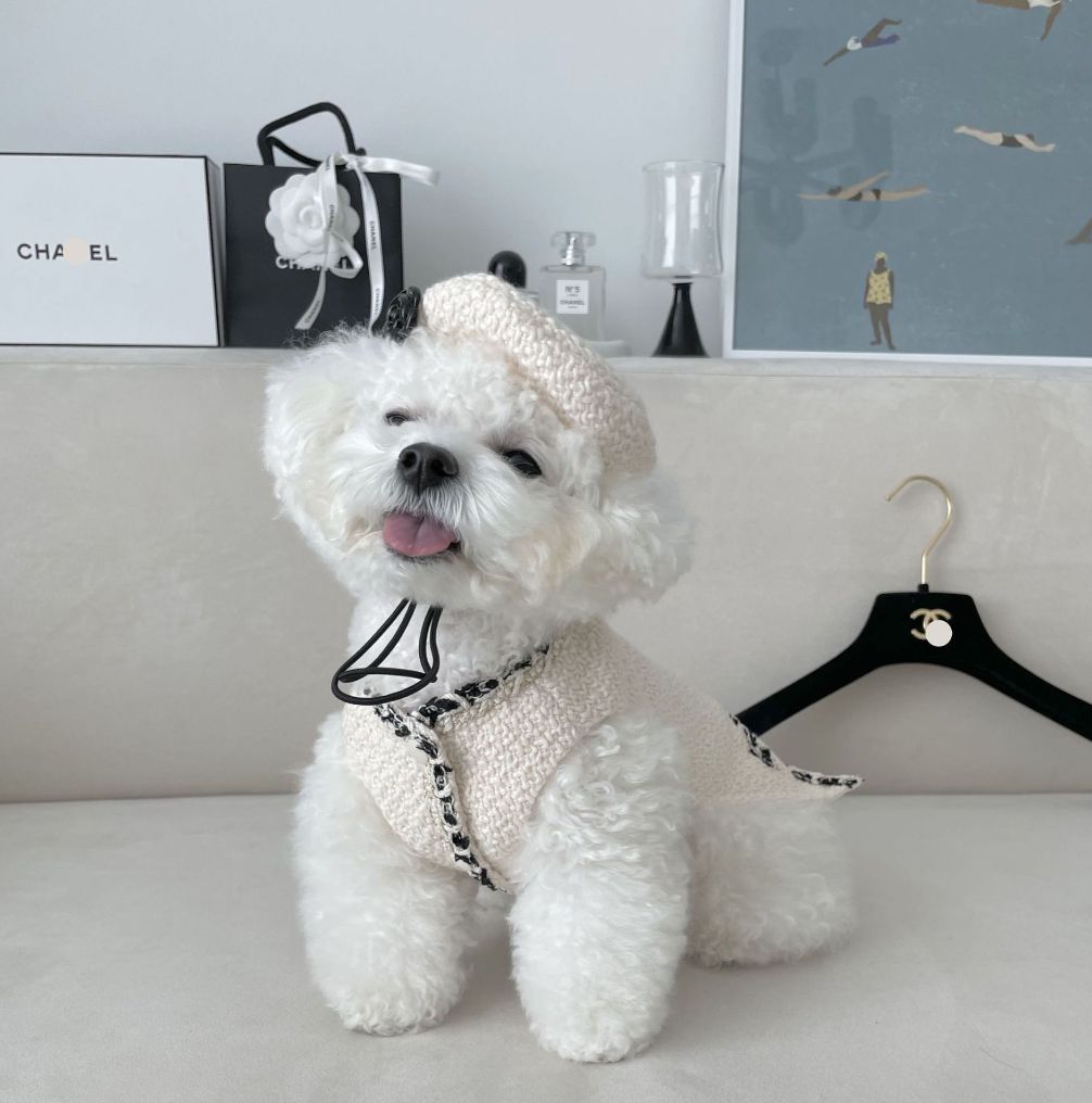 小型犬
