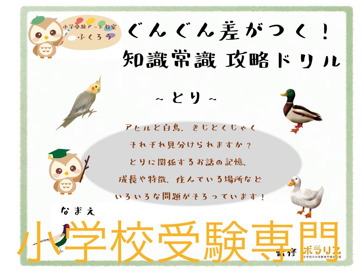 小学校受験専門☆ 知識常識攻略ドリル【とり】 - 小学受験 個別教室