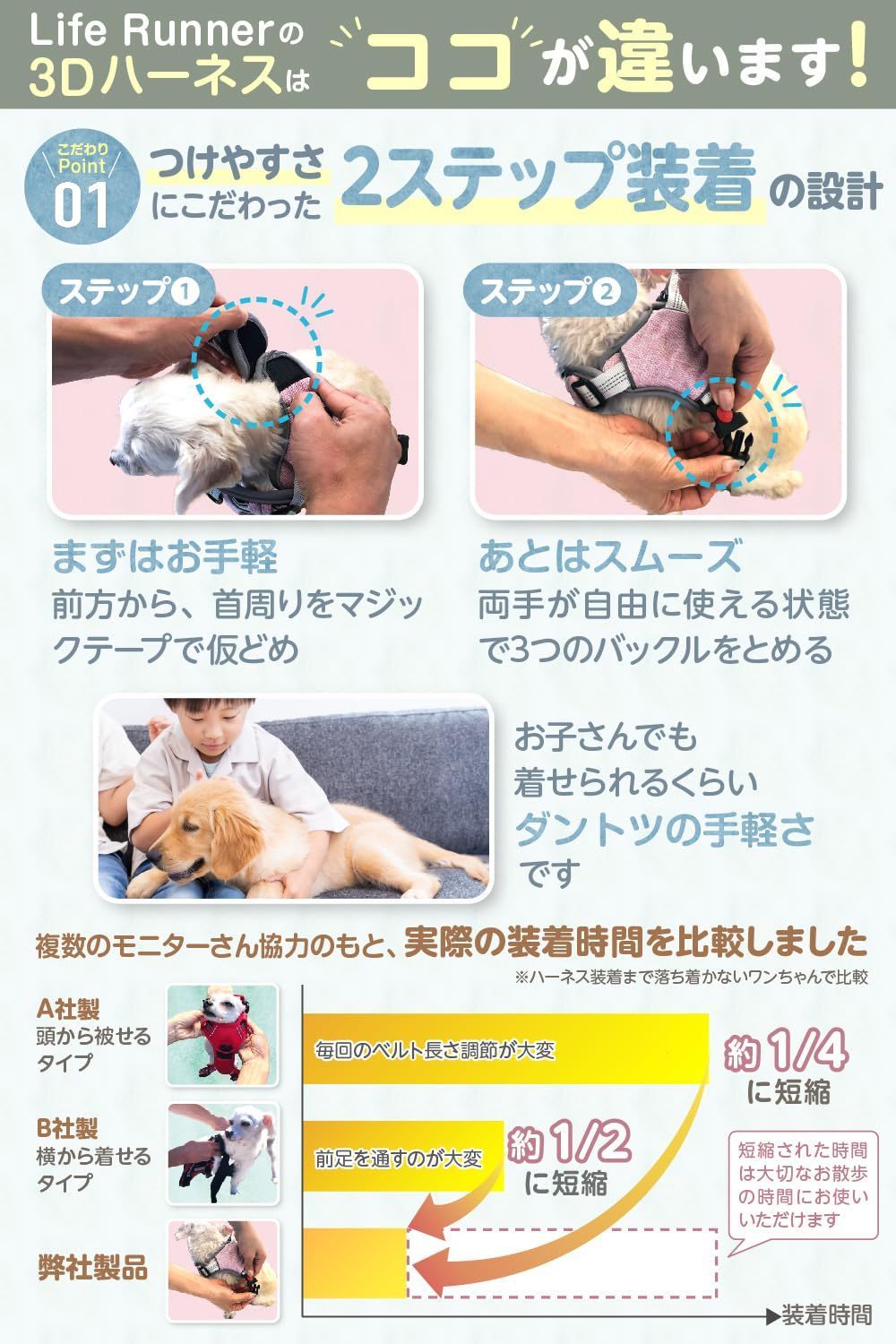 中型犬