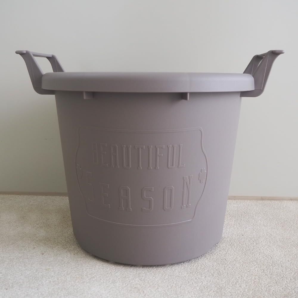 ミニサボテン 抜き苗 200個 おまかせ ③】多肉植物 ミニサボテン 抜き