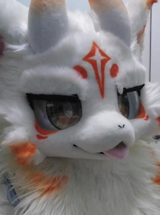 コスチューム 一点物