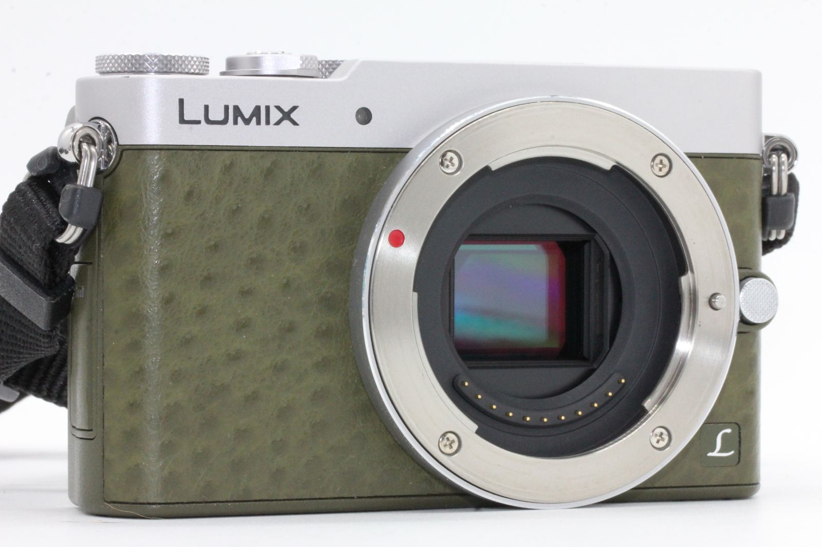 Panasonic パナソニック ミラーレス一眼カメラ LUMIX GM5 ボディ