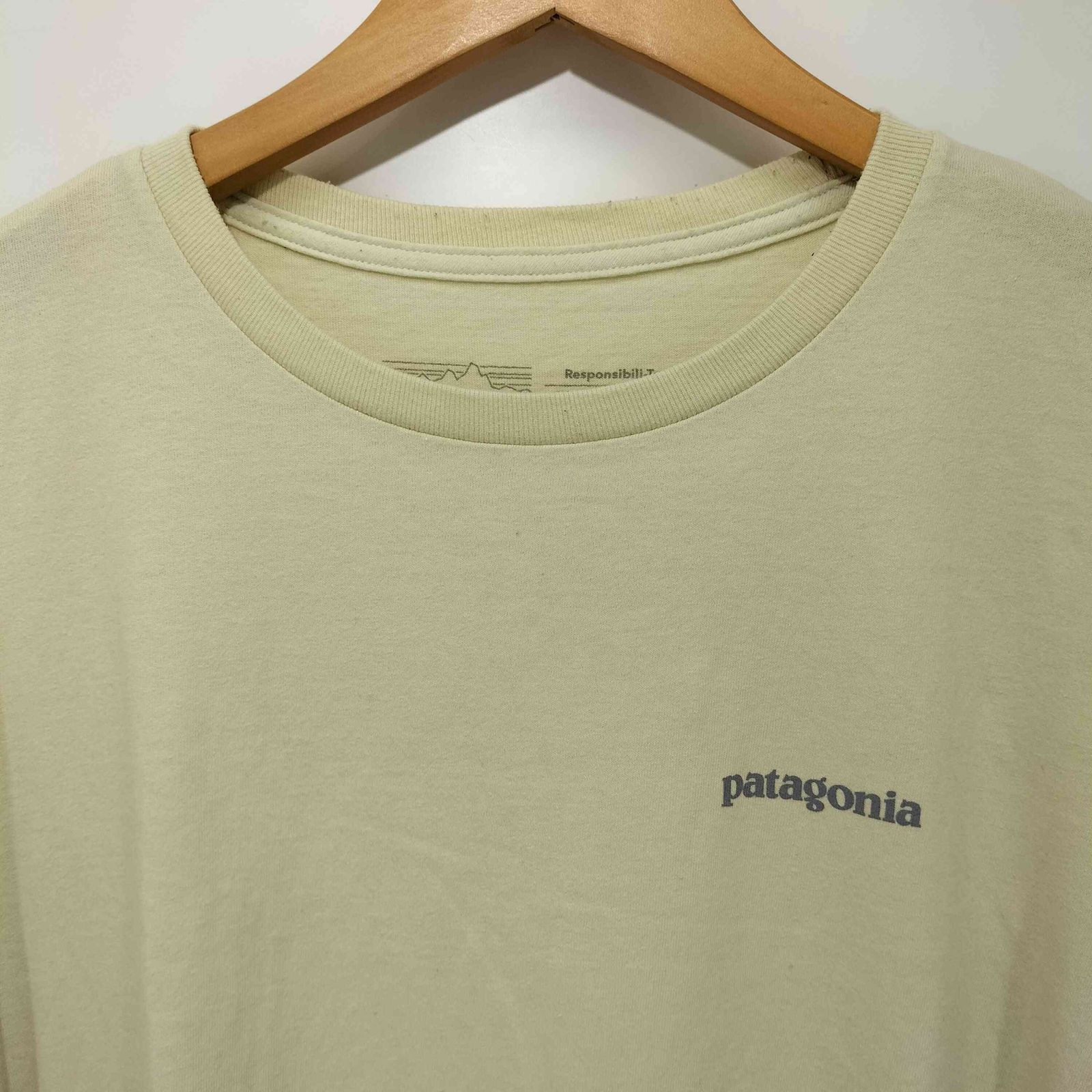 パタゴニア patagonia FA23フィッツロイ・アイコン・レスポン