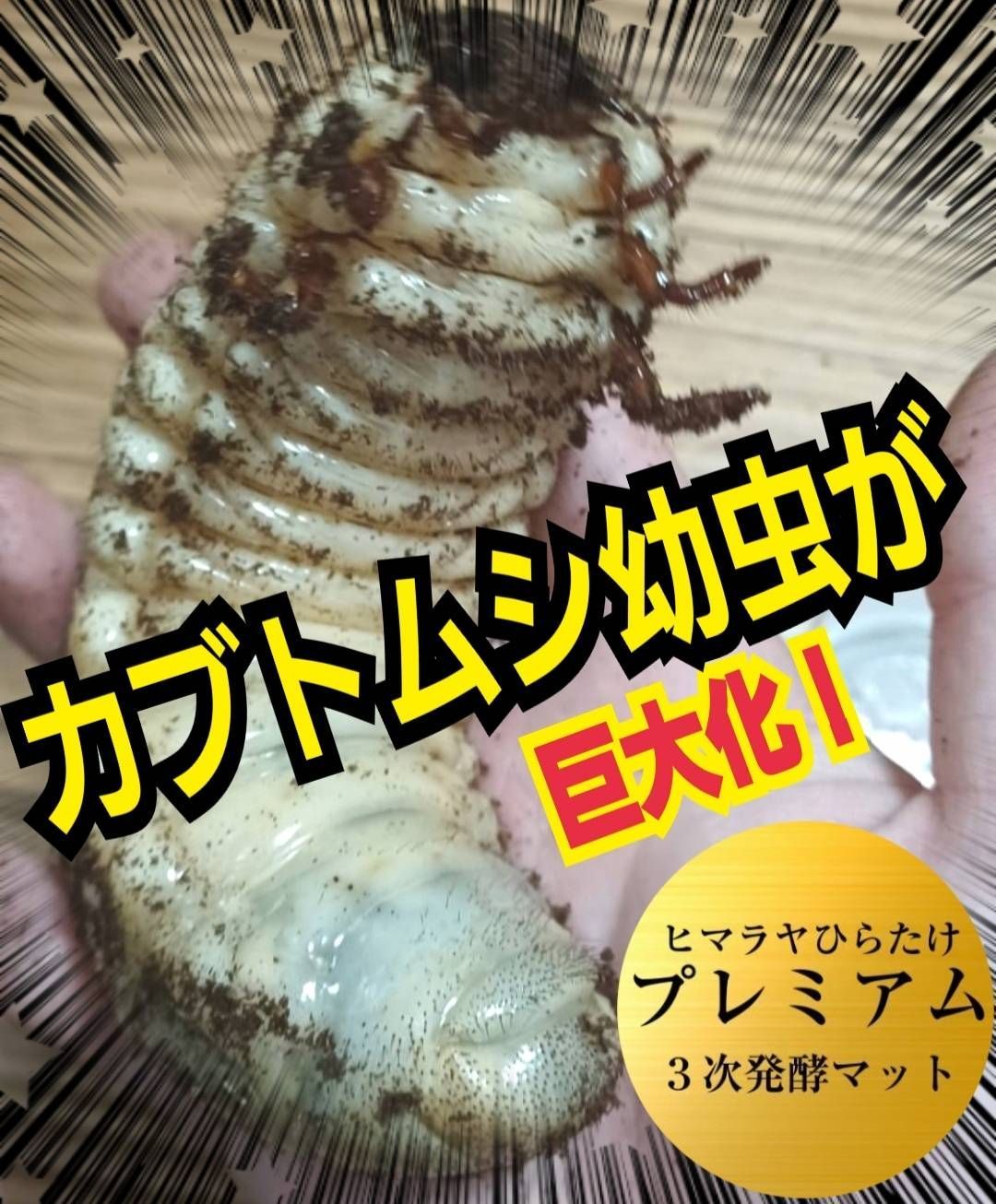 極上☆ギネス狙いに！プレミアム3次発酵カブトムシマット【8袋】特殊アミノ酸強化！