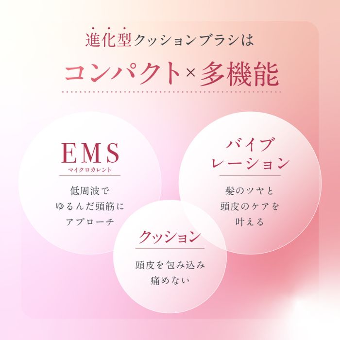 EMS Brush