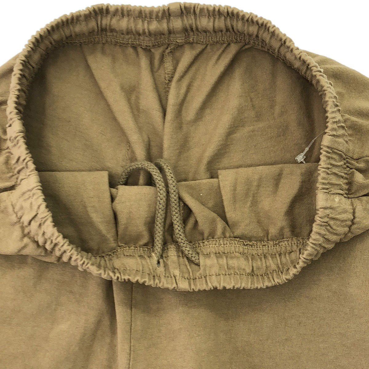 斑入りバナナ。突然変異？限定1苗、120㎝バナナ苗◇サンタカタリーナ