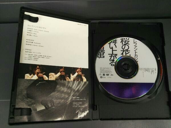 DVD 桜の花舞い上がる武道館(初回限定版) - メルカリ