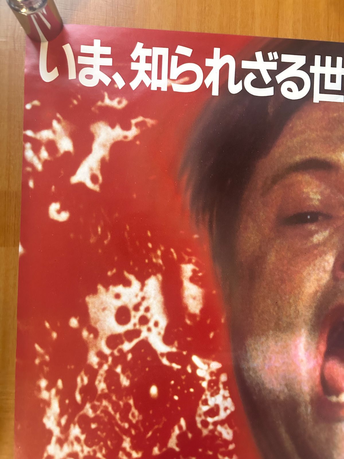 「ゾンビ」劇場公開版Ｂ２サイズポスター（非売品・新品） ゾンビ伝説 The Serpent and the Rainbow / 1988年 劇場公開