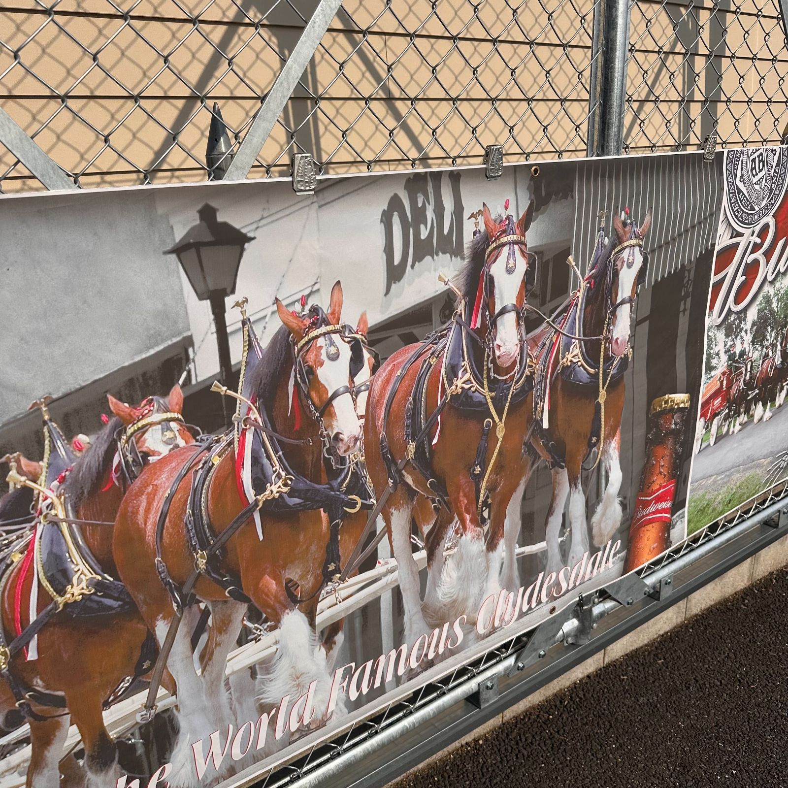 Clydesdales 3.6m×0.9mバナー