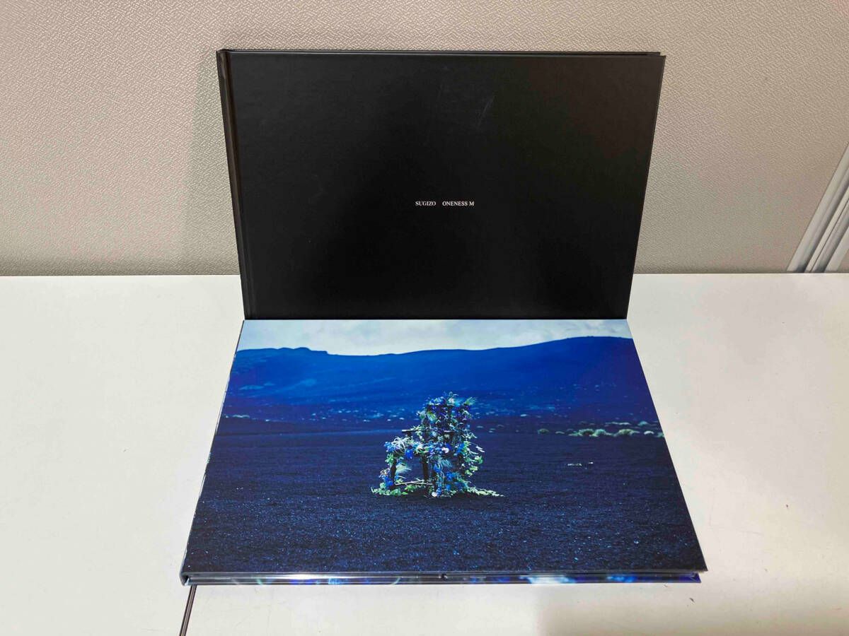 SUGIZO(LUNA SEA) CD ONENESS M(初回限定盤)(2SHM-CD) - メルカリ