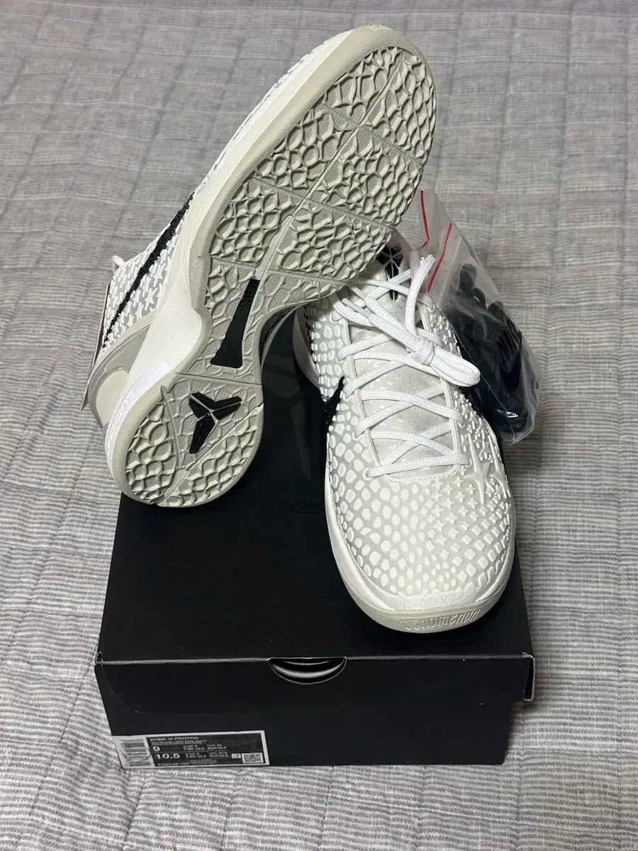 270 NIKE コービー 6 プロトロ バスケシューズ