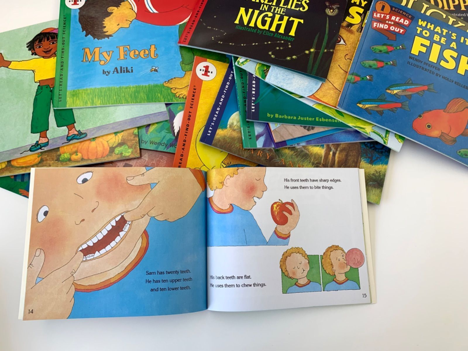 Let's Read and Find Out Science 絵本130冊 【公式通販】