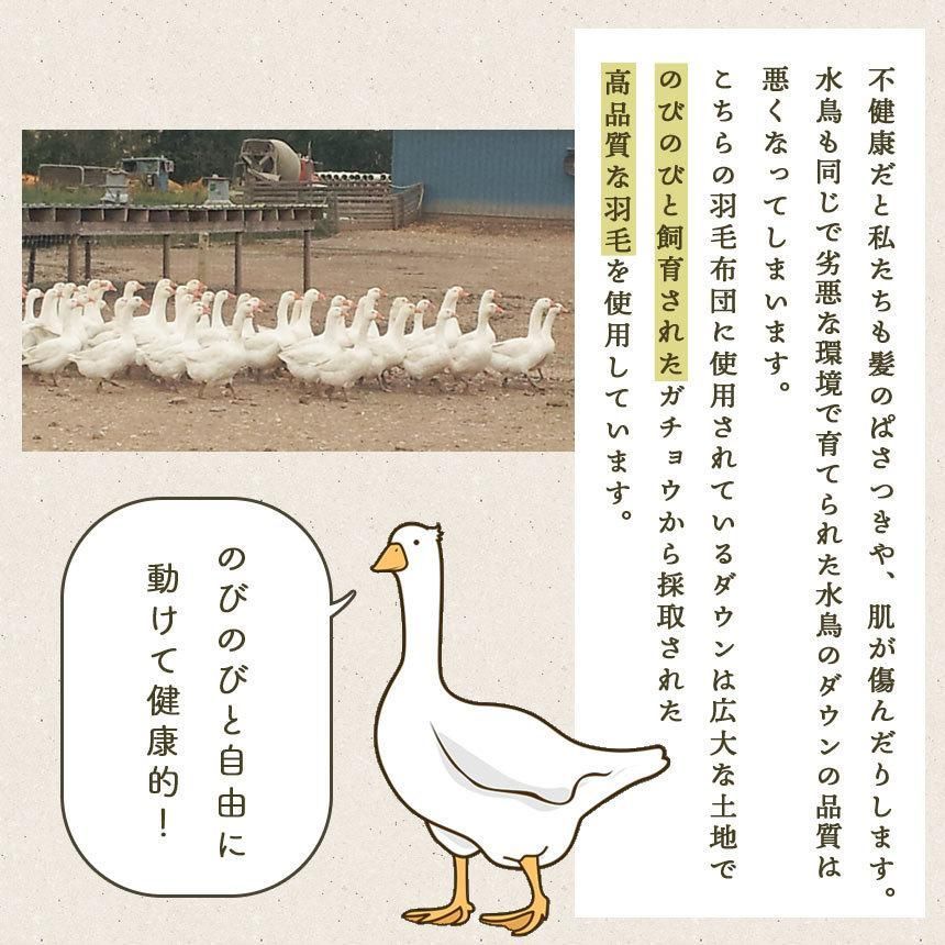 日本製 羽毛布団