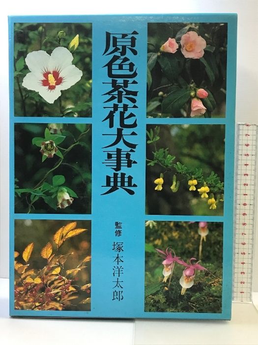 原色茶花大辞典　淡交社 新版 茶花大事典 | 書籍,茶道書,茶花 | 淡交社 本のオンライン