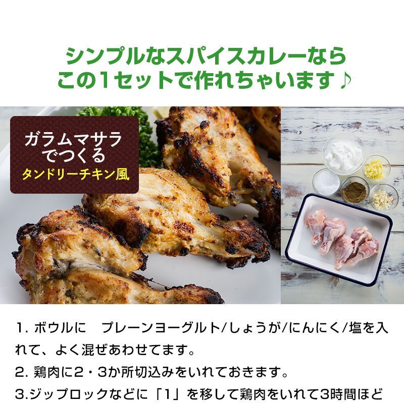 スパイス5点セット100g各1袋 AS910500001 パケット-2