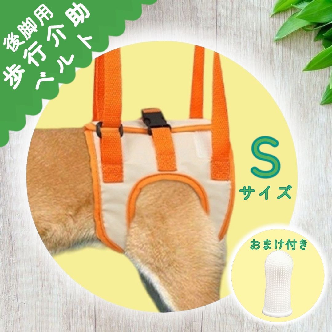 販売 犬 立てない ハーネス