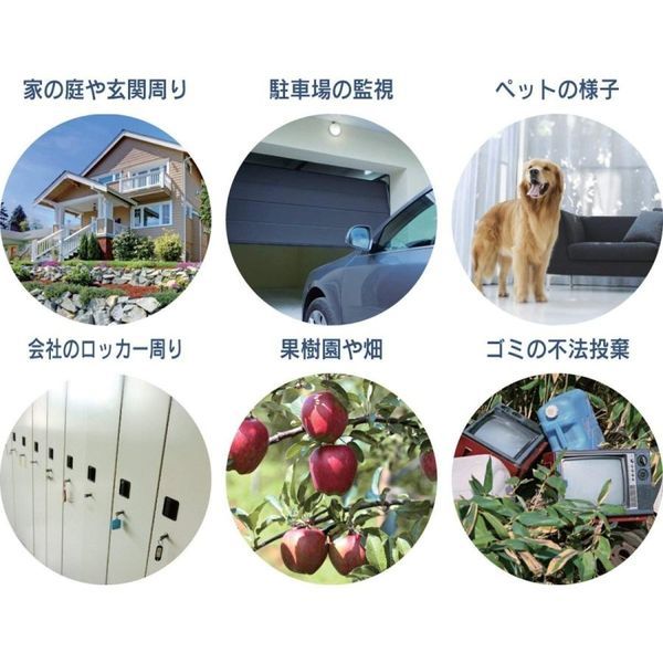 リーベックス SD3000LCD