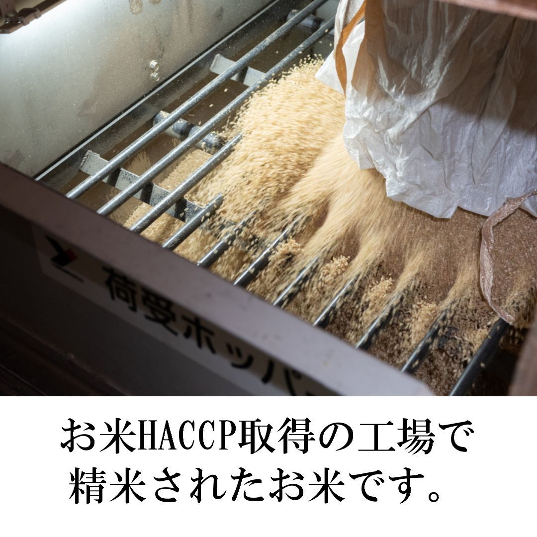 宮城県産 ササニシキ 米 10kg 送料無料 お米 令和6年産 10kg(5kg×2) 白米 アイリスオーヤマ 令和6年産 宮城県産 ササニシキ 10kg(5kg×2袋) 令和6年産 郷の有機使用
