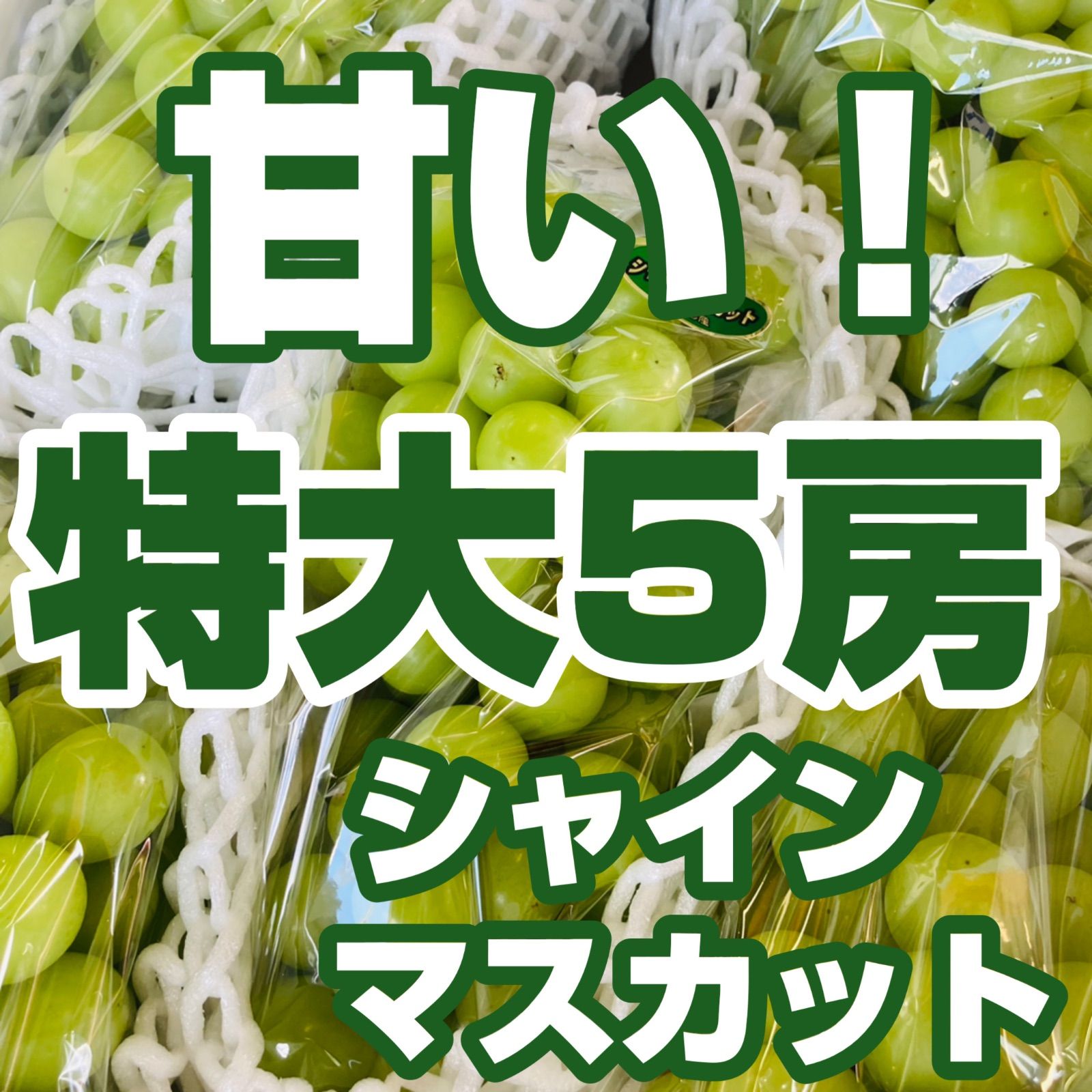 甘い！シャインマスカット 特大5房 クール便 山形県産 - みつばち