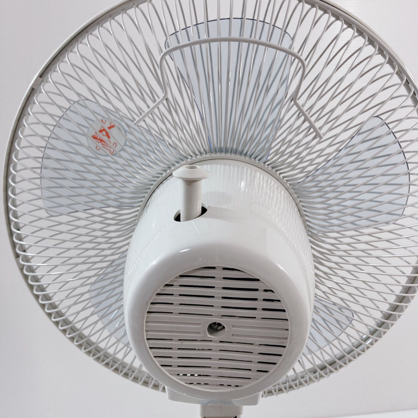 Elabitax Floor Fan 30cm 着脱式 お座敷扇風機 EY-31M 扇風機